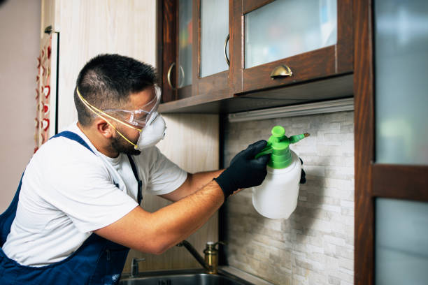 Best Residential Pest Control  in Stuttgt, AR