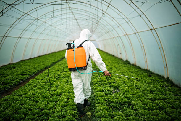 Best Affordable Exterminators  in Stuttgt, AR