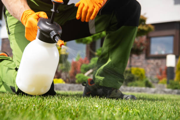 Wasp Removal Services in Stuttgart, AR