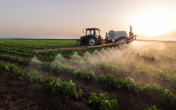 Best Insect Control  in Stuttgt, AR