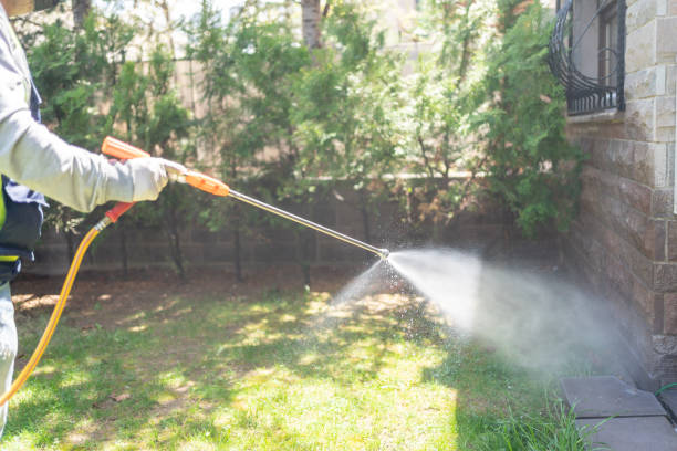 Best Flea Control Services  in Stuttgt, AR