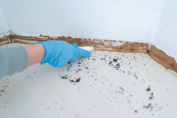 Best Commercial Pest Control Services  in Stuttgt, AR