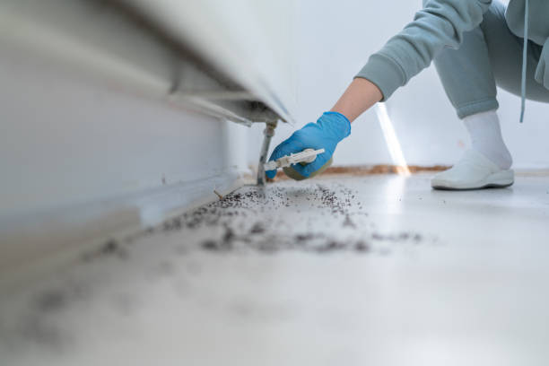 Best Affordable Pest Control Services  in Stuttgt, AR